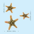 thumbnail image 3 of biOrb Yellow Sea Star Set - Aquarium Decor, 3 of 8