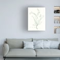 thumbnail image 3 of Vision Studio 'Botanical Study in Sage VII' Canvas Art, 3 of 3