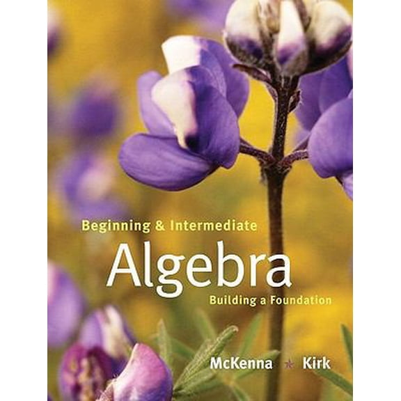 Pre-Owned Beginning and Intermediate Algebra: Building a Foundation (Hardcover) by Paula McKenna, Honey Kirk