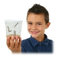 Insect Lore Butterfly Farm with Live Cup of Caterpillars