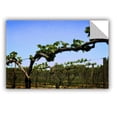 thumbnail image 2 of ArtWall Kevin Calkins "Spring Vineyard" ArtAppealz Removable Wall Art, 2 of 2