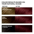 thumbnail image 3 of Get Vibrant, Luscious Locks with L'Oreal Paris Feria Multi-Faceted Shimmering Hair Color - Ravishing R48 Red Velvet: Intense Auburn Perfection!, 3 of 3