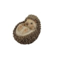thumbnail image 2 of HI-LINE GIFT LTD. HEDGEHOG ON ITS BACK, 2 of 4
