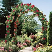 Skypatio Archway Decor Metal Garden Arch Trellis, Dark Green, 7'8 H x 4'5 W