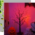 View all media