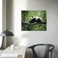 thumbnail image 3 of Nawypu  Cute Panda Canvas Wall art: Wall Decor Animals Themed for Kids' Bedroom Nursury Poster Bathroom Wall Prints, 3 of 4