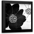 thumbnail image 1 of Sommers, Mindy 12x12 Black Modern Framed Museum Art Print Titled - Peony Party, 1 of 5