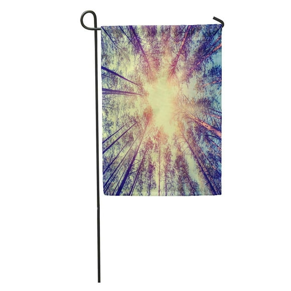 POGLIP Forest Trees Pine Growth Retro Vintage Straight Cedar Woodlands Sunlight Garden Flag Decorative Flag House Banner 28x40 inch