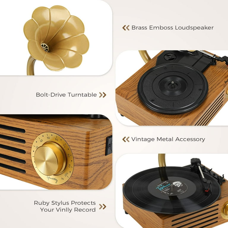 Vinyl Record Player, Record Player, Gramophone, Vinyl Portable Bluetooth  Speaker