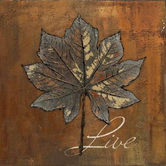 Maple Live Canvas Art - Patricia Pinto ()