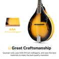 thumbnail image 2 of Mandolina Donner A Style Sunburst Caoba de 8 cuerdas con acceso, 2 of 8