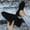 Black, variant on Sneakers for Women Shoes for Women Walking Shoes Running Slip-On Sneakers Pink 2024 Summer Clearance Size 7
