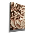 thumbnail image 2 of Epic Graffiti 'Flower Bloom 3' by Incado, Giclee Canvas Wall Art, 40"x60", 2 of 8