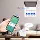thumbnail image 3 of Zemismart Tuya Zigbee MiNi Energy Meter Electric Monitor Sensor Real-Time Measure Support Zigbee2mqtt Home Assistant Control 63A, 3 of 5