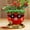 Golden Bottom, variant on GUGUGO Cute Plant Pots Strawberry Shape, Funny Unique Planters for Indoor Plants, Small Succulent Planter Pots with Drainage, Colorful Gardening Pots for Boho Modern Home Décor (Golden Bottom)