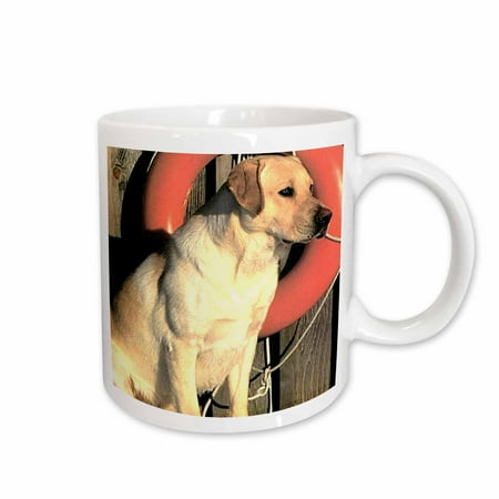 

3dRose Yellow Labrador Lab Ceramic Mug 15-ounce