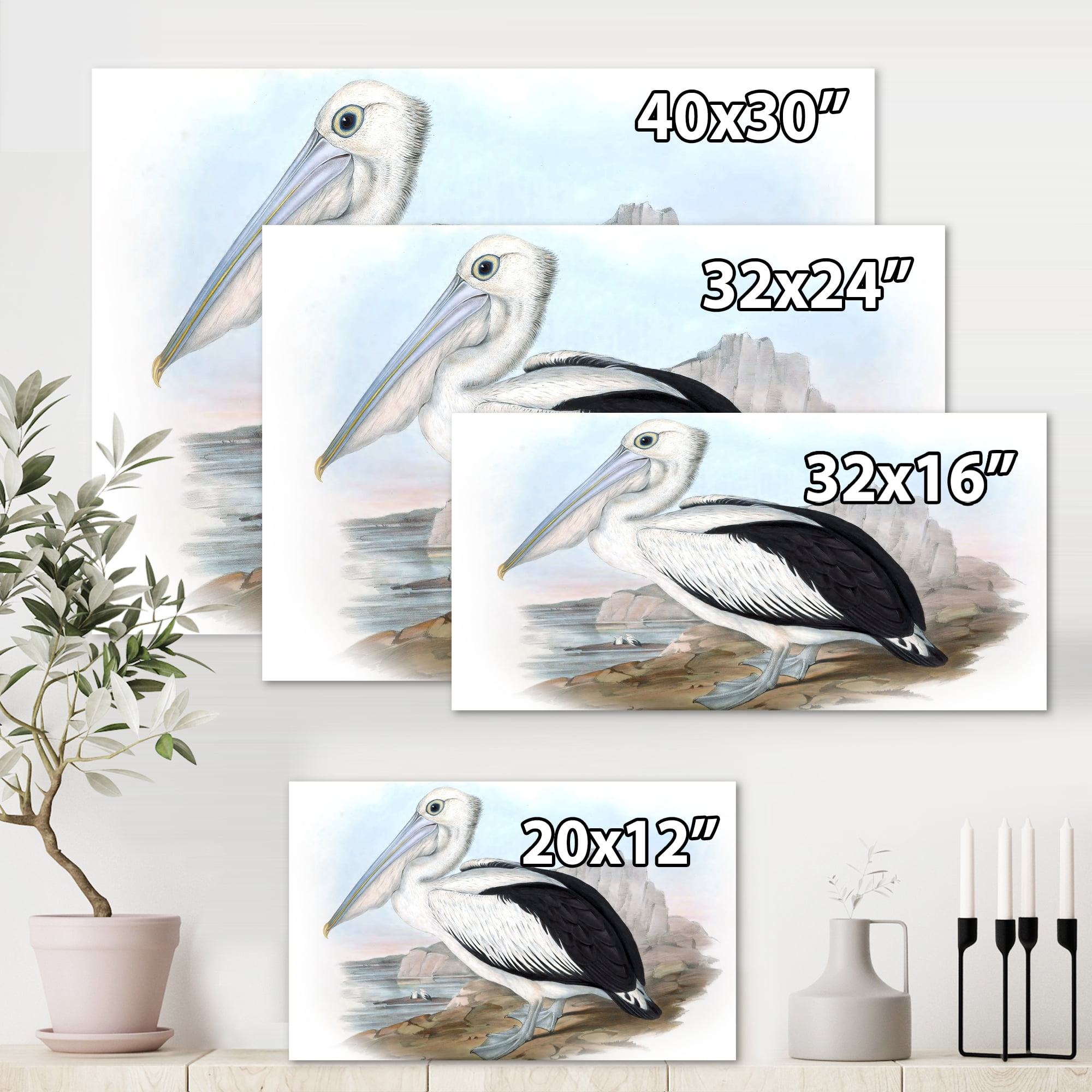 Designart ' Ancient Australian Birds VIII ' Traditional Canvas Wall Art Print