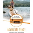 thumbnail image 3 of Mighty Paw Waterproof Dog Collar, Smell-Proof Active Dog Gear, Coated Nylon Webbing with Reflective Stripe, 3 of 8