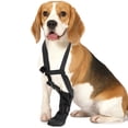 thumbnail image 6 of Front Paws Healing Boot for Various Breeds Water Resistant Soft Dog Paws Protector Shoe After Surgeries Recovery Footwear, 6 of 9