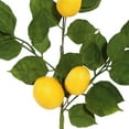 thumbnail image 3 of Vickerman 6' Artificial Green and Yellow Salal Leaf Lemon Garland., 3 of 6