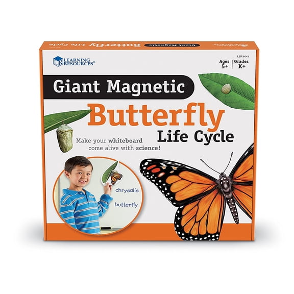 Learning Resources Butterfly Life Cycle, 9 Write and Wipe Pieces, Classroom Accessories, Teaching Aids, Ages 5 