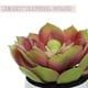 thumbnail image 3 of 2 uds suculentas de simulación en macetas pequeños adornos creativos flores y plantas de simulación, 3 of 5