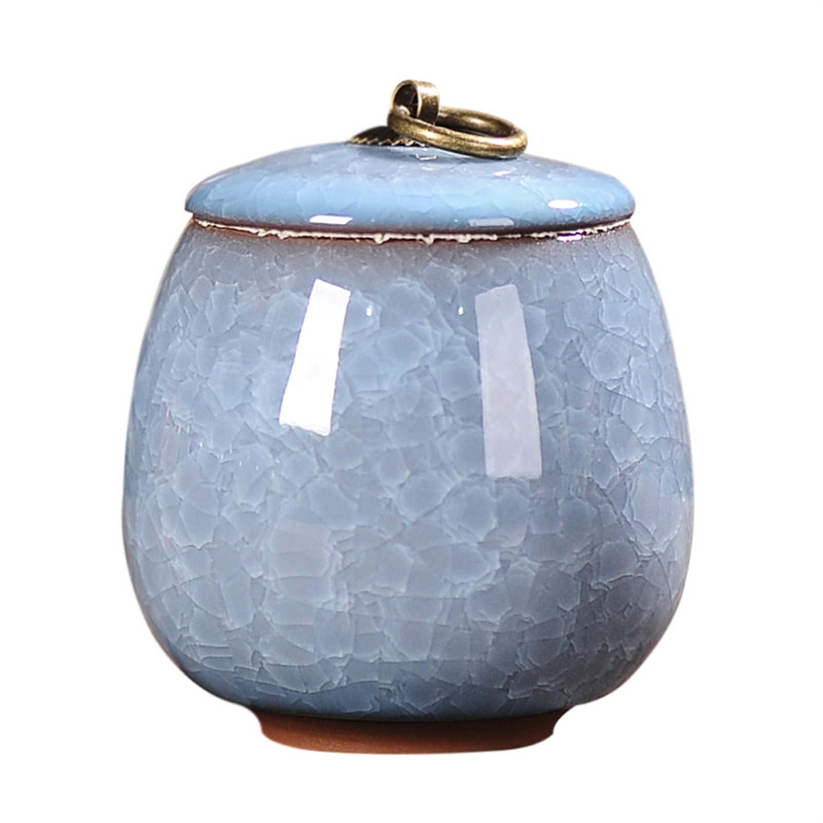 Ceramics Ash Urn Sealed Cremation Funeral Ashes Keepsake Small Animals Pet Dog Cat Memorial Suitable Home Fireplaces Burial 23871