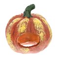 thumbnail image 1 of Cueva decorativa para gambas, resistente al desgaste, con forma de calabaza., 1 of 8