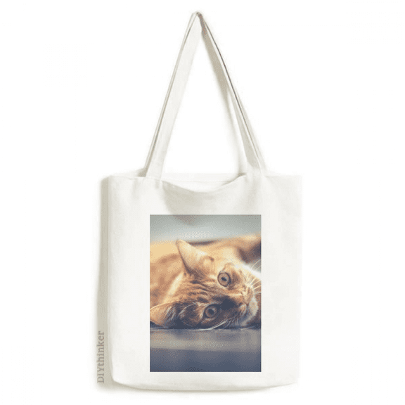 Animal Yellow Cat Photograph Picture Tote Canvas Bag Shopping Satchel Casual Handbag