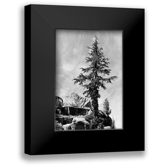 Adams, Ansel 11x14 Black Modern Framed Museum Art Print Titled - Tree and unnamed peak, Kings River Canyon, proVintageed as a national park, California, 1936