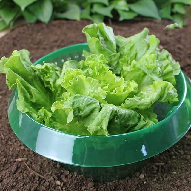 Campanas De Jardín, 10 Piezas De Collares De Babosas PP Forma Flexible Fuerte Adaptabilidad Verde Transparente Para Uso Comercial Doméstico