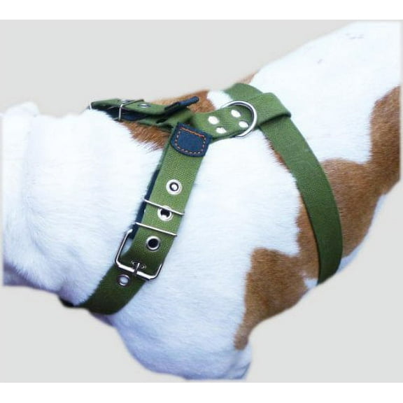 Cotton Web Dog Harness Large. Fits Girth 31"-36". 1.5" Wide Straps, Rottweiler, Doberman, Cane Corso