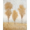 thumbnail image 2 of OToole, Tim 26x32 Black Ornate Wood Framed with Double Matting Museum Art Print Titled - Autumn Springs II, 2 of 4