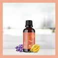 thumbnail image 2 of Relaxing Essential Oil Blend for Diffuser - Aromatherapy Blend of Essential Oils for Diffusers for Home and Travel Stress Support with Lavender Geranium Roman Chamomile and Ylang Ylang Diffuser Oils, 2 of 6