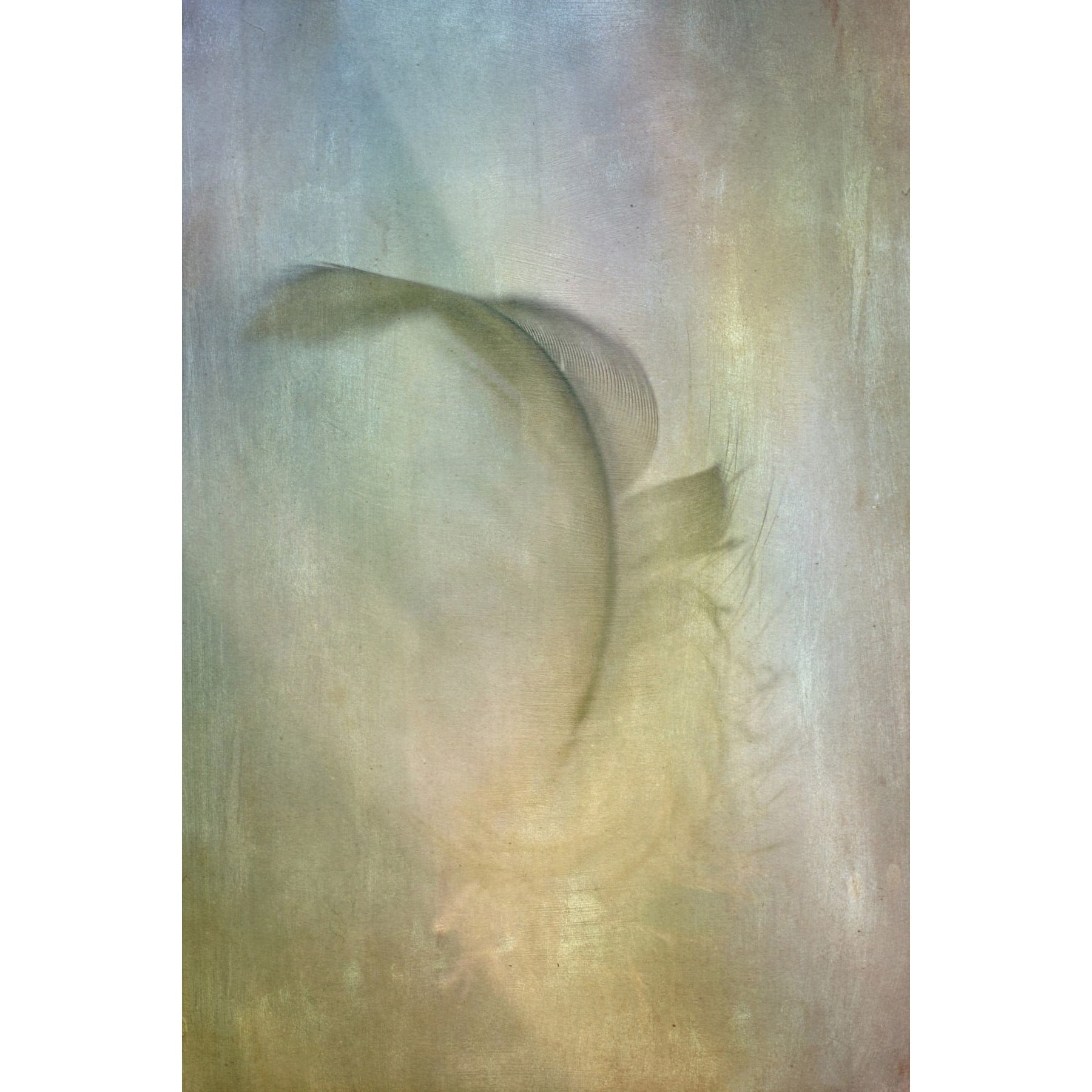 "Falling Feather" Painting Print on Wrapped Canvas