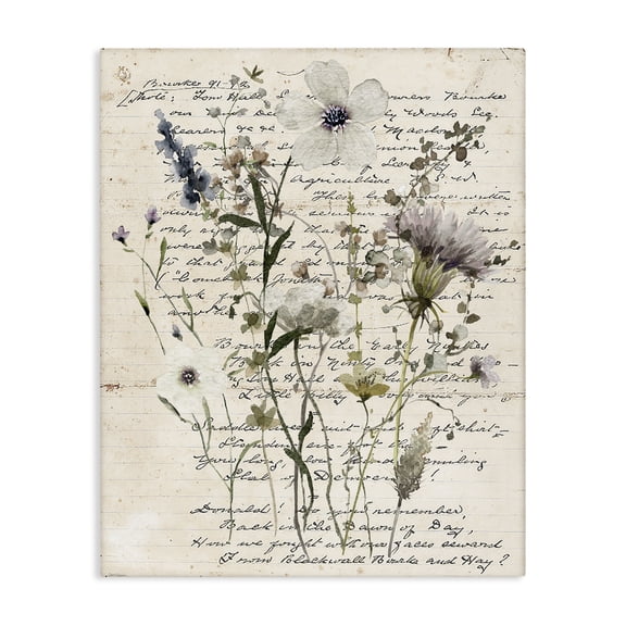 Stupell Industries Pressed Flowers on Page Plants & Flowers Painting Wrapped Canvas Art Print Wall Art, 16 x 20