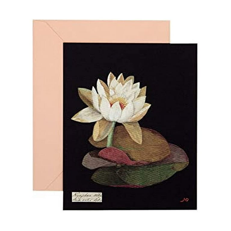 Paper Flowers Cards and Envelopes : The Art of Mary Delany