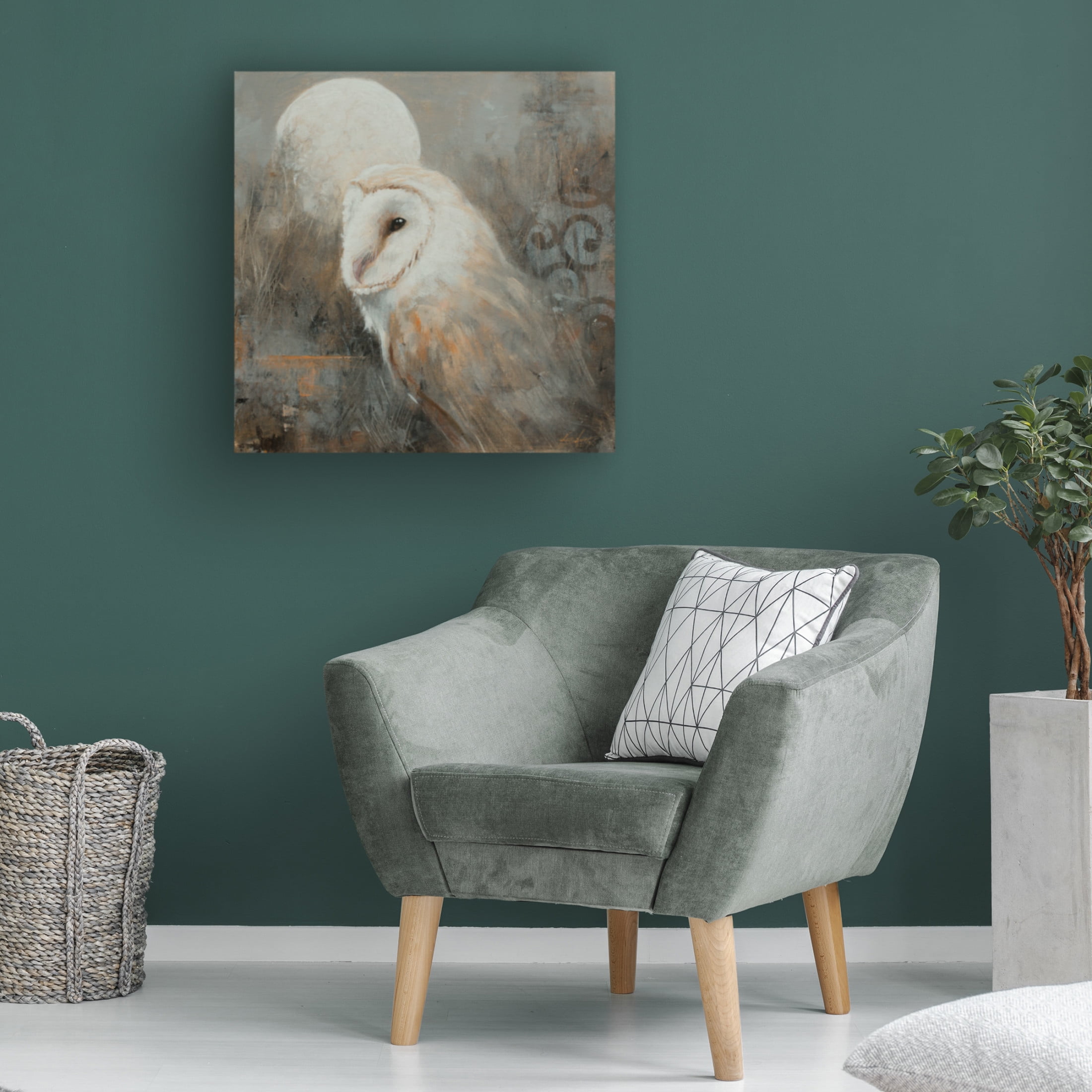 Canvas Wall Art - John Silver 'Barn Owl 2' Wall Art for Living Room, Bedroom, or Office Décor by Trademark Fine Art - 24 x 24 Inches