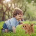 thumbnail image 1 of Follure Electric Plush Toy Teddy Will Be Called Walking Smart Robot Dog Children‘s Toy, 1 of 4