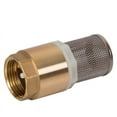 thumbnail image 3 of tooloflife Brass Foot Valve 1 Inch BSP Female Thread with Filter Gold, 3 of 5