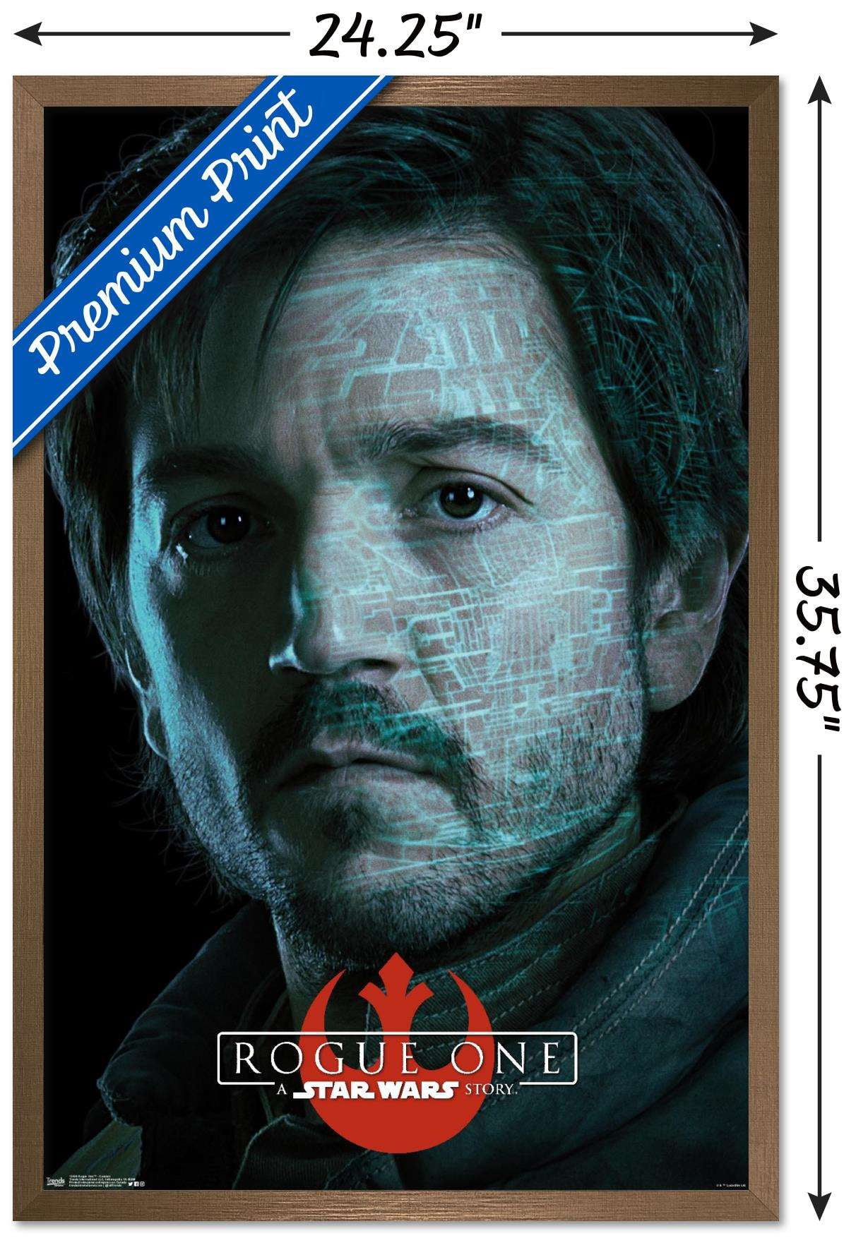 Star Wars: Rogue One - Cassian Wall Poster, 22.375" x 34", Framed