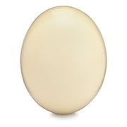 Premium Blank Ostrich Egg Shell for Crafts, Decoration, Painting - Blown Out & Cleaned, Ready for Crafting Projects & Decorating - High Quality for Display