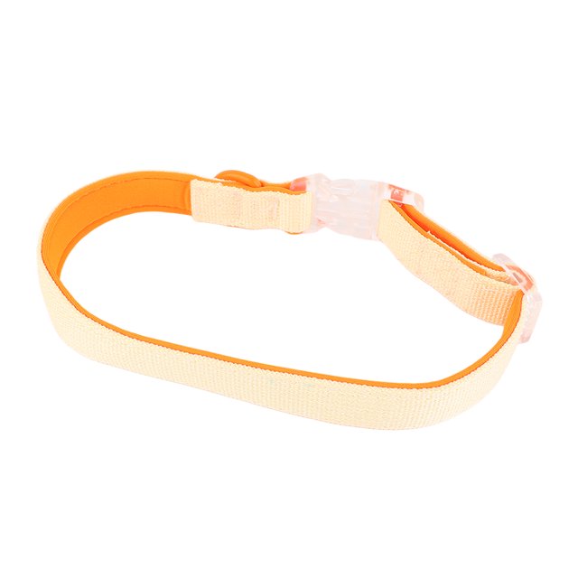 Durable Dog Collar, Easy To Wear Soft Dog Collar Polyester With Buckle For Outdoors For Camping Blue Match Color,Blue Match Color,Orange Match Color