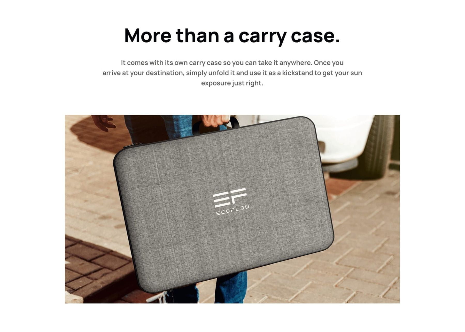 EF EcoFlow 220W Portable Solar Panel for Power Station, Foldable Solar Charger with Adjustable Kickstand, Waterproof IP67 for Outdoor Camping,RV,off Grid System