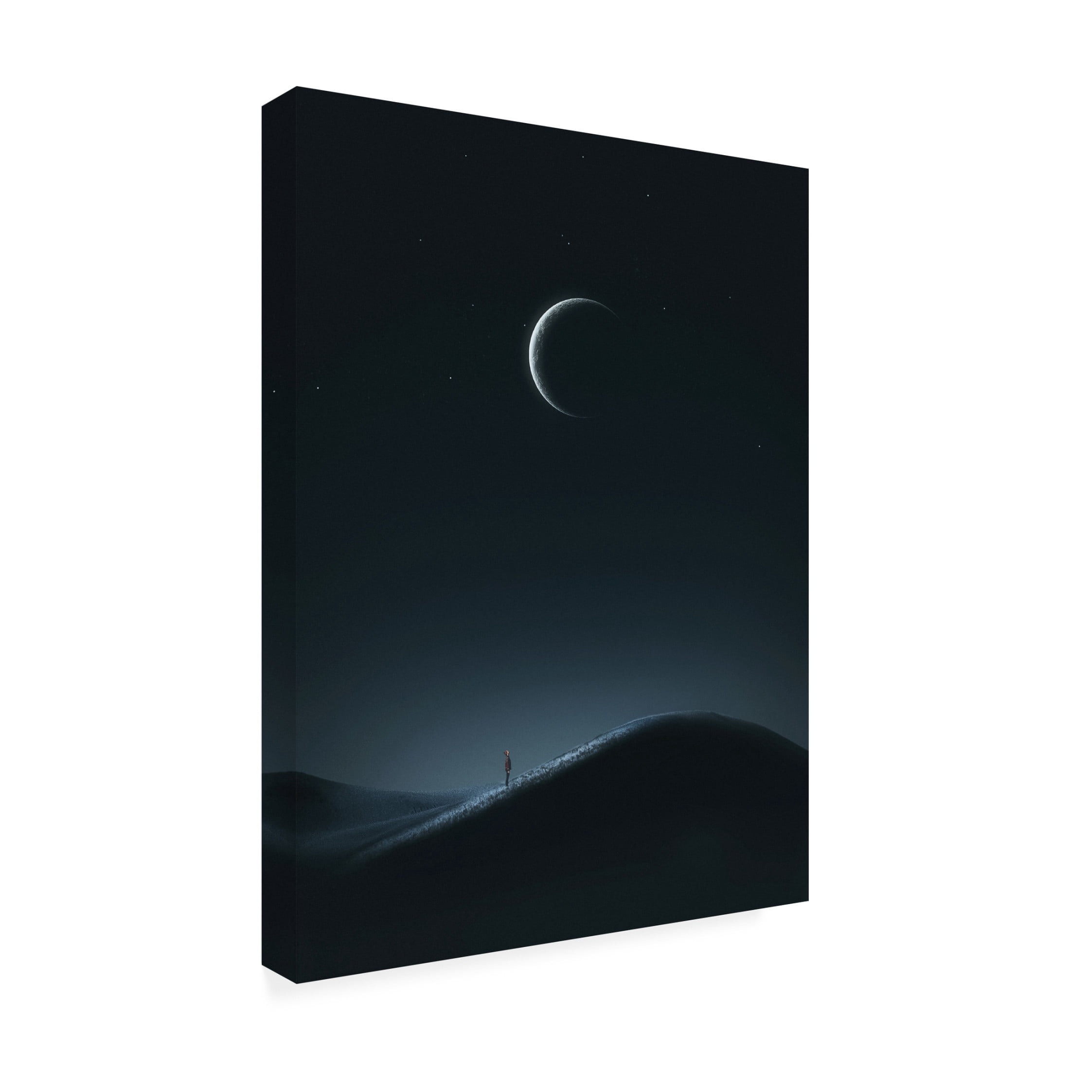 Trademark Fine Art cvv   light and silence Canvas Wall Art