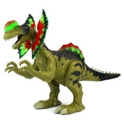 VT Cretaceous Dilophosaurus Battery Operated Walking Toy Dinosaur Figure w/ Realistic Movement, Lights and Sounds (Colors May Vary)