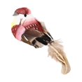 thumbnail image 4 of 12 Pcs Artificial Foam Feather Birds Mini Decorative For Wreaths Tree Decor, 4 of 10