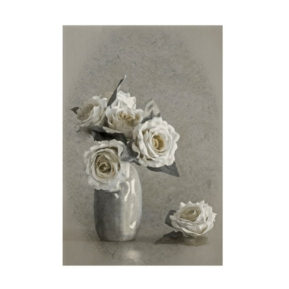 Trademark Fine Art Cicek Kiral Faded Lines Canvas Wall Art