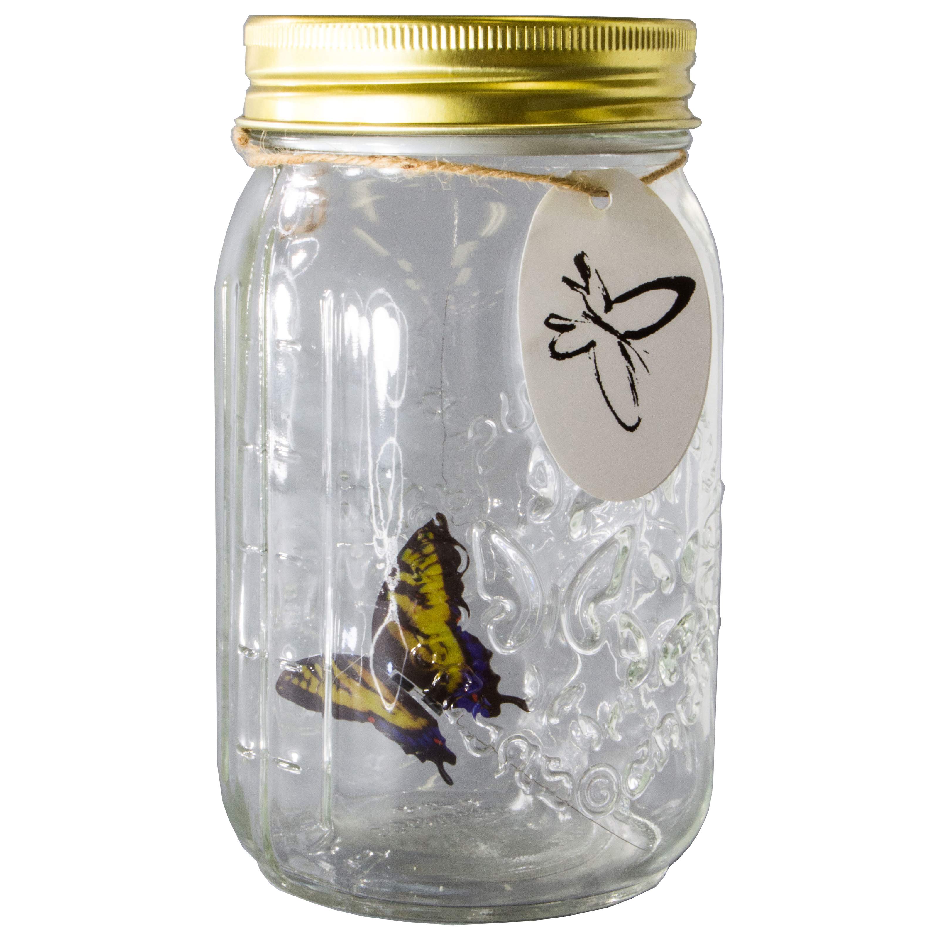 LED Flying Butterfly Bottle Glass Jar Night Light Romantic Gifts