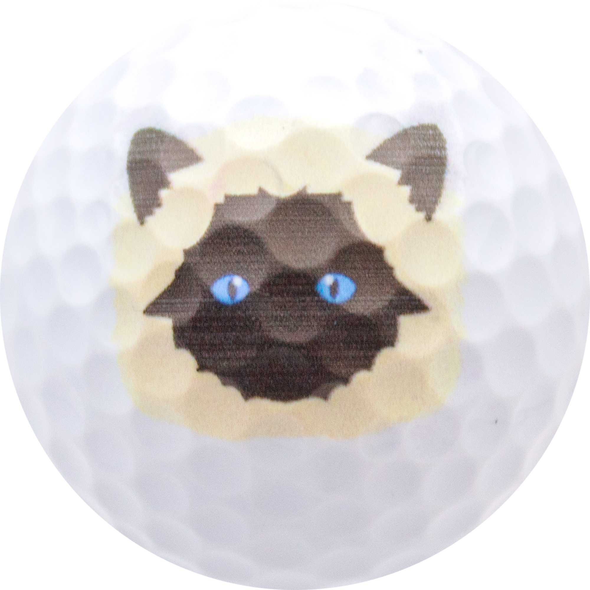Cat Lover Golf Balls, 12 Pack by GBM GOLF